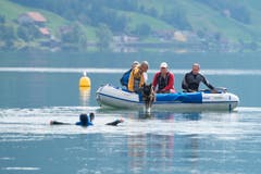 ... und schwimmt voller Elan bis zu einem reglos im Wasser treibenden Helfer... (Bild: Maria Schmid / Neue ZZ)