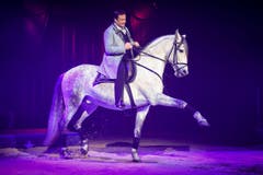 Auch eine Pferde-Nummer darf nicht fehlen. (Bild: PD / Katja Stuppia, Circus Knie)