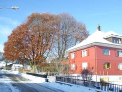 2-Familienhaus, Ton in Ton mit den 2 grossen Buchen, in Rickenbach. (Bild: Josef Habermacher)