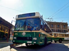 Die Busse aus Luzern fahren jetzt wortwörtlich grün. (Bild: Samuel Fuentes, Valparaiso)
