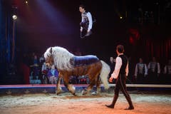 Ivan Frédéric Knie im Einsatz auf dem Pferd. (Bild: PD / Katja Stuppia, Circus Knie)