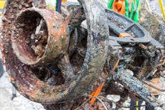 … verkrustet, verrostet – bewohnt. (Bild: Keystone / Alexandra Wey)