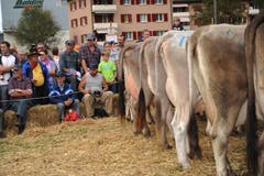 Bild: Urs Hanhart / Neue UZ