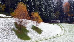 Da will wohl der Winter dem Herbst den Garaus machen, fotografiert auf dem Steinhuserberg. (Bild: Leser Josef Lustenberger)