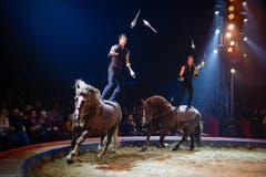 Die Stehendreiter Charles und Alexandre in der Manege. (Bild: PD / Katja Stuppia, Circus Knie)