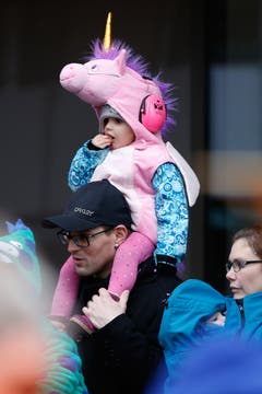 Einige Impressionen vom Fasnachtsumzug in Rotkreuz. (Bild: Patrick Hürlimann (Neue Zuger Zeitung))
