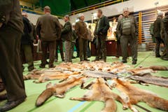 Fäälimärt Sursee (Bild: Dominik Wunderli / Neue LZ)