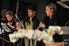 Camerata Variabilei. (Bild: Urs Hanhart)