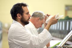 Juror Peter Schmid sucht die Details, die die Schönheit ausmachen. (Bild: Eveline Beerkircher / Neue LZ)