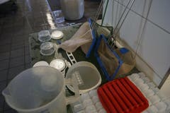 In der Fischbrutanlage in Walchwil hat es überall Netze und Gefässe. (Bild: Raphael Biermayr / Neue ZZ)