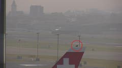 Auch dieser Vogel (m Kreis) hat eine Zwischenlandung gemacht!! Aufgenommen am Flughafen Zürich Kloten. (Bild: Stefan Luzi)