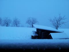 Morgen früh um 6:30 Uhr auf dem Eichberg (ca. 700m ü.M.) (Bild: Marianne Schmid)