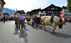 Gross und Klein nahm teil. (Bild: Markus von Rotz)