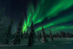 Polarlicht in Lappland über die Weihnachtstage. (Bild: Dionys Moser)