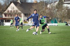 Im März 2010 wird Seoane aus der 1. Mannschaft verbannt und muss fortan mit dem Nachwuchs trainieren. (Bild: Manuela Jans)