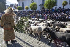 Impressionen von der Älperchilbi in Stans. (Bild: Edi Ettlin)