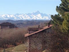 Haselnuss-Stauden im Piemont, mit herrlicher Aussicht in die Berge. (Bild: Fredi Meyer)