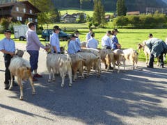 Bilder: Priska von Flüe und Gabi Schmidlin
