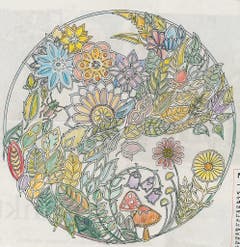 Bild: J. Helfenstein, Emmen