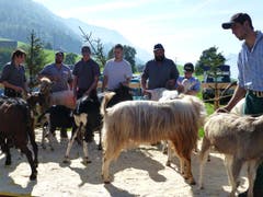 Bilder: Priska von Flüe und Gabi Schmidlin