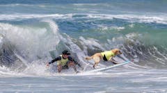 Dog surf competition in Huntington Beach (Bild: Keystone)