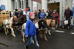 Bild: Robert Hess / Neue NZ