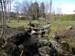"In der Natur fühlt man sich wohl, weil sie kein Urteil über uns hat" ! Aufgenommen beim Ruheplatz Seeacher in Meggen. (Bild: Margrith Imhof-Röthlin)