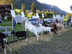 Bilder: Priska von Flüe und Gabi Schmidlin