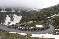 Das TdS-Feld am Gotthard. (Bild: Keystone)