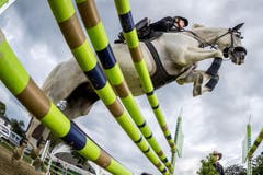 Lili Steinmann aus Wängi auf Lady Corrado an den Pferdesporttagen am Freitag, 15. Juli 2016 in Dagmersellen. (Bild: Philipp Schmidli)