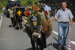 Bild: Urs Hanhart / Neue UZ