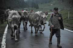 Unterwegs auf der «Boodäfaart» aus dem Klausengebiet auf den Urnerboden. (Bild: Urs Hanhart/Neue UZ)