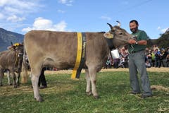 Miss Original Braunvieh Rinder «Hirsch» mit Besitzer Erwin Imhof, Istethal. (Bild: Urs Hanhart (Neue UZ))