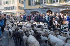 Impressionen von der Älperchilbi in Stans. (Bild: Urs Flüeler / Keystone)