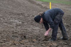 Und, ist die Wiese noch zu retten? (Bild: Boris Bürgisser/LZ)