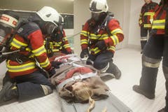 Eine ohnmächtige Frau wird von der Feuerwehr mit der Rettungsliege aus dem Schwimmbad befördert. (Bild: Edi Ettlin)