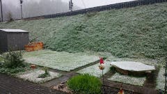 Leserbild von Katrin Metlicka aus dem Zürcher Oberland. (Bild: Katrin Metlicka)