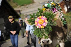 Bild: Urs Hanhart / Neue UZ
