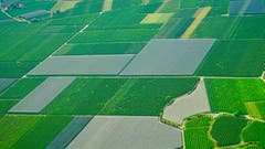 EinTal in dem jeder Zentimeter des Bodens für Obstkulturen genützt wird. (Bild: Stefan Kunz)