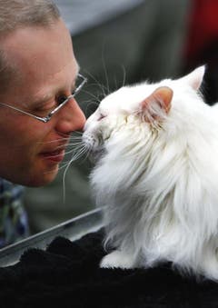 Franco Truttmann schmust mit Ian Fleming's Stromberg, einer Norwegischen Waldkatze. (Bild: Christof Borner-Keller / Neue ZZ)