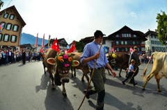 In Kerns fand am Samstag bei sehr grosser Publikumsbeteiligung der 6. Alpabzug statt. (Bild: Markus von Rotz)