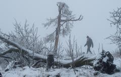 Im Taunusgebirge in Deutschland herscht mystischer Nebel. (Bild: EPA/BORIS ROESSLER)