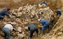 Nach dem Krieg – hier ein Foto aus dem Jahr 1996, werden im Laufe der Untersuchungen des Internationalen Gerichtshofs für Kriegsverbrechen immer neue MAssengräber entdeckt. (Bild: AP Photo / Staton R. Winter)