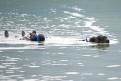 Zwar werden in der Schweiz die Tiere nicht zur Rettung eingesetzt, doch gibt es viele nationale Prüfungen, bei denen sich Hundeführer und Hund messen können. (Bild: Maria Schmid / Neue ZZ)
