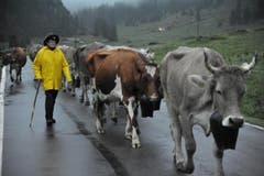 Unterwegs auf der «Boodäfaart» aus dem Klausengebiet auf den Urnerboden. (Bild: Urs Hanhart/Neue UZ)
