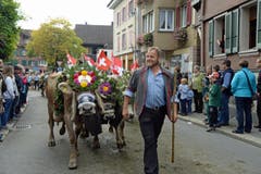 OK-Präsident Walter von Rotz führt das Senten der Alp Hinter Stalden an. (Bild: Robert Hess (Neue OZ))