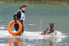 Was im Ernstfall schon Leben gerettet hat, ist hier ein Sportanlass der besonderen Art: In Unterägeri fand dieses Wochenende die Schweizer Meisterschaft der Wasserarbeitshunde statt. (Bild: Maria Schmid / Neue ZZ)