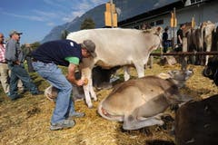 Bild: Urs Hanhart (Neue UZ)
