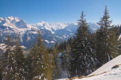 Blick an die Berge, darunter der Titlis. (Bild: Regula Aeppli)
