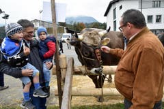 Politprominenz an der Viehschau: Während Nationalrat Karl Vogler seine Grosskindern in die Landwirtschaft einführt, erinnert sich auch Regierungsrat Paul Federer an Jugenderlebnisse auf dem Bauernhof. (Bild: Romano Cuonz)